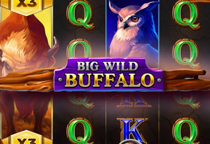 Slotobit Casino Auszahlung: Schnelle und sichere Optionen