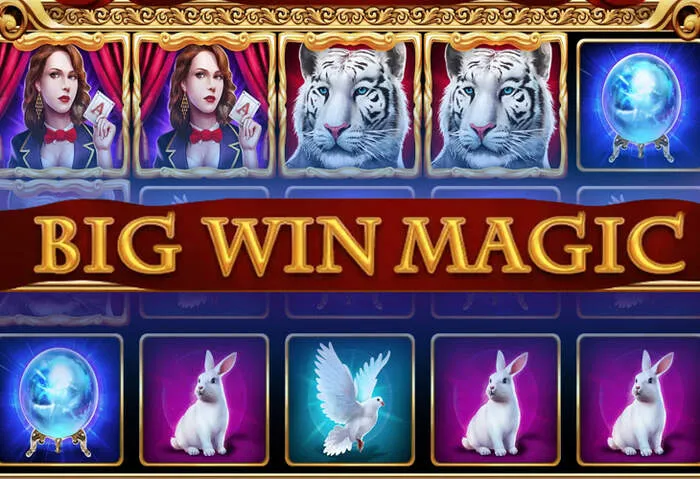 Expansive Slotobit Casino Game Selection and Software Providers library.