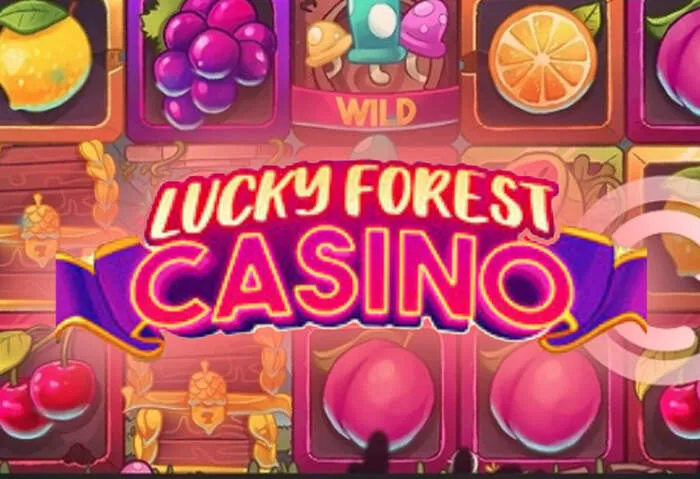 Metodi di pagamento Slotobit Casino sicuri e veloci
